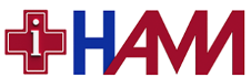 Логотип НАМИ